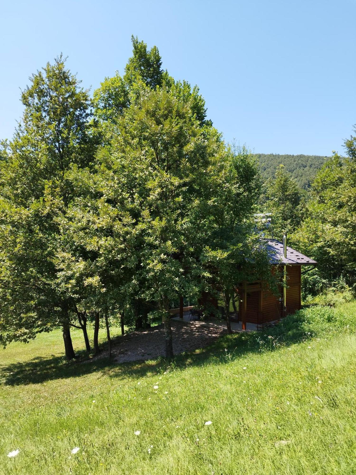 Kuca U Sumi - Forest House Near National Park Una - Air Spa Lohovo Bihać Dış mekan fotoğraf